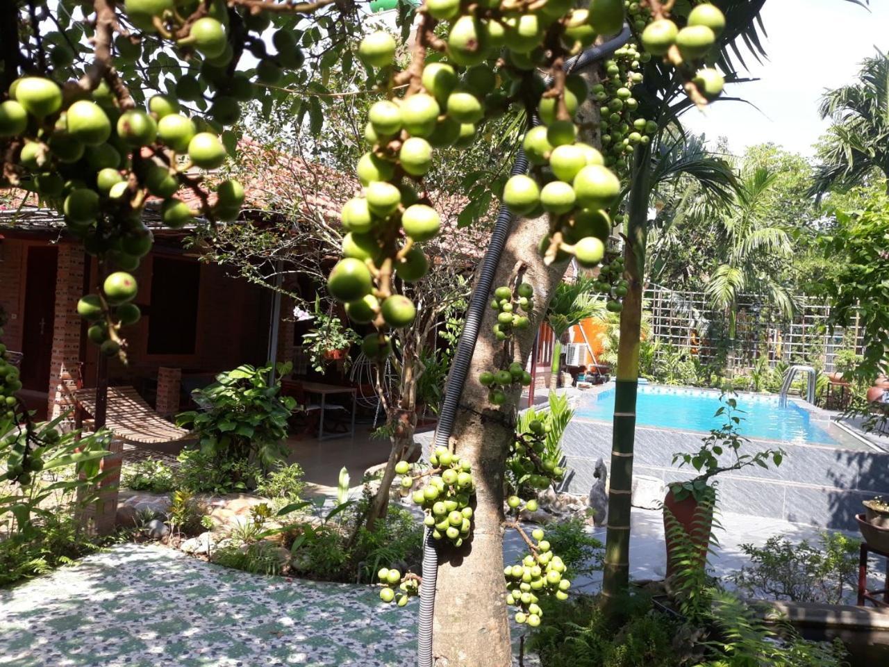 An Phu Homestay Ninh Bình Exteriör bild