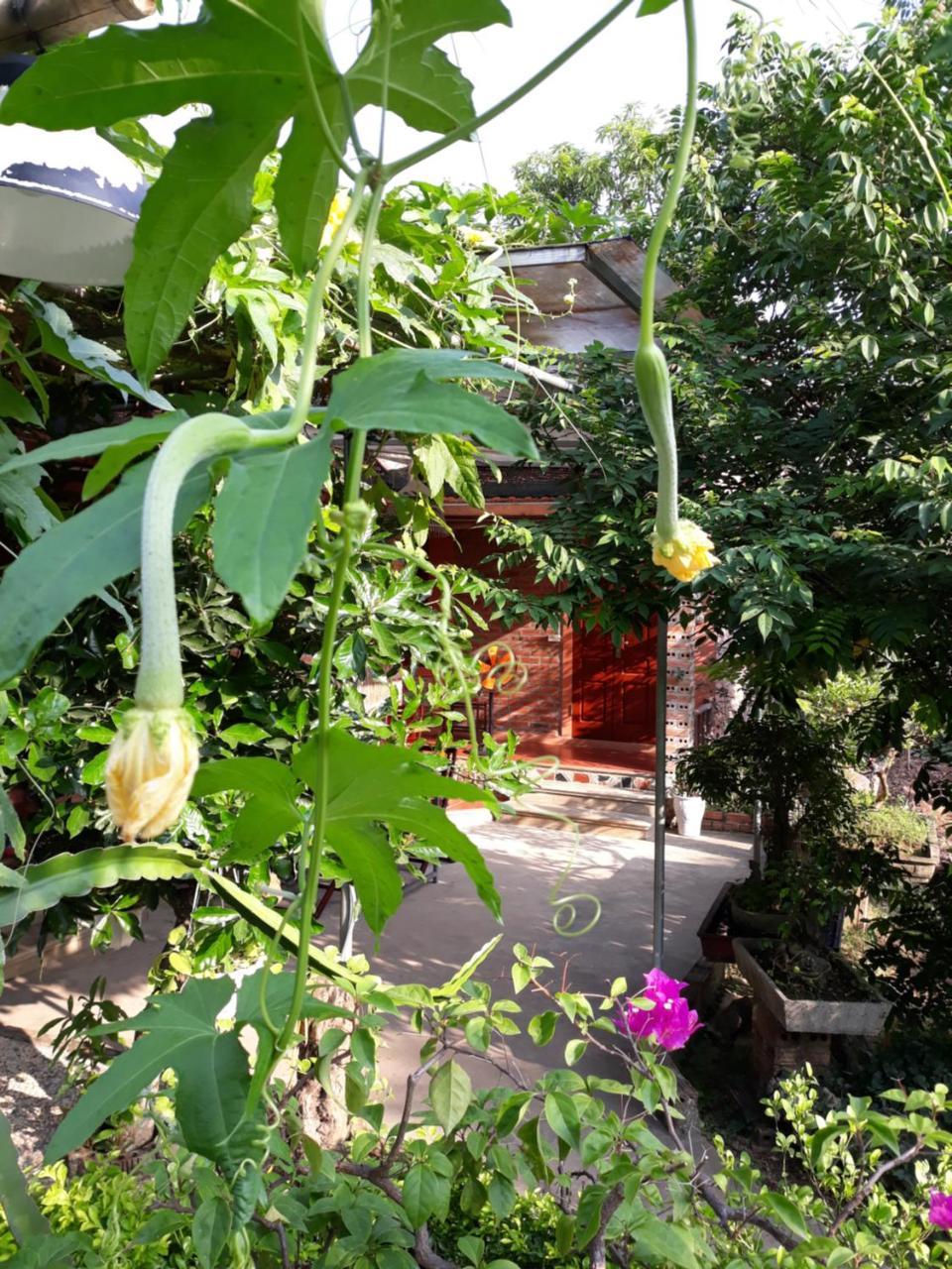 An Phu Homestay Ninh Bình Exteriör bild
