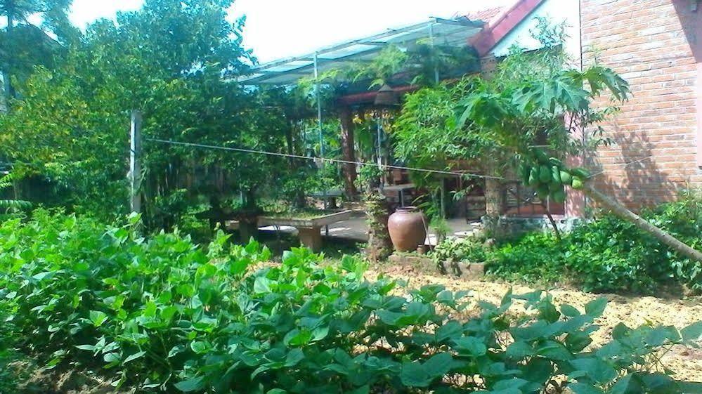 An Phu Homestay Ninh Bình Exteriör bild